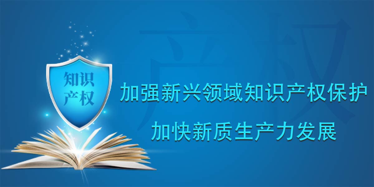 ��ר�⡿2026��֪ʶ��Ȩ�����ܻ